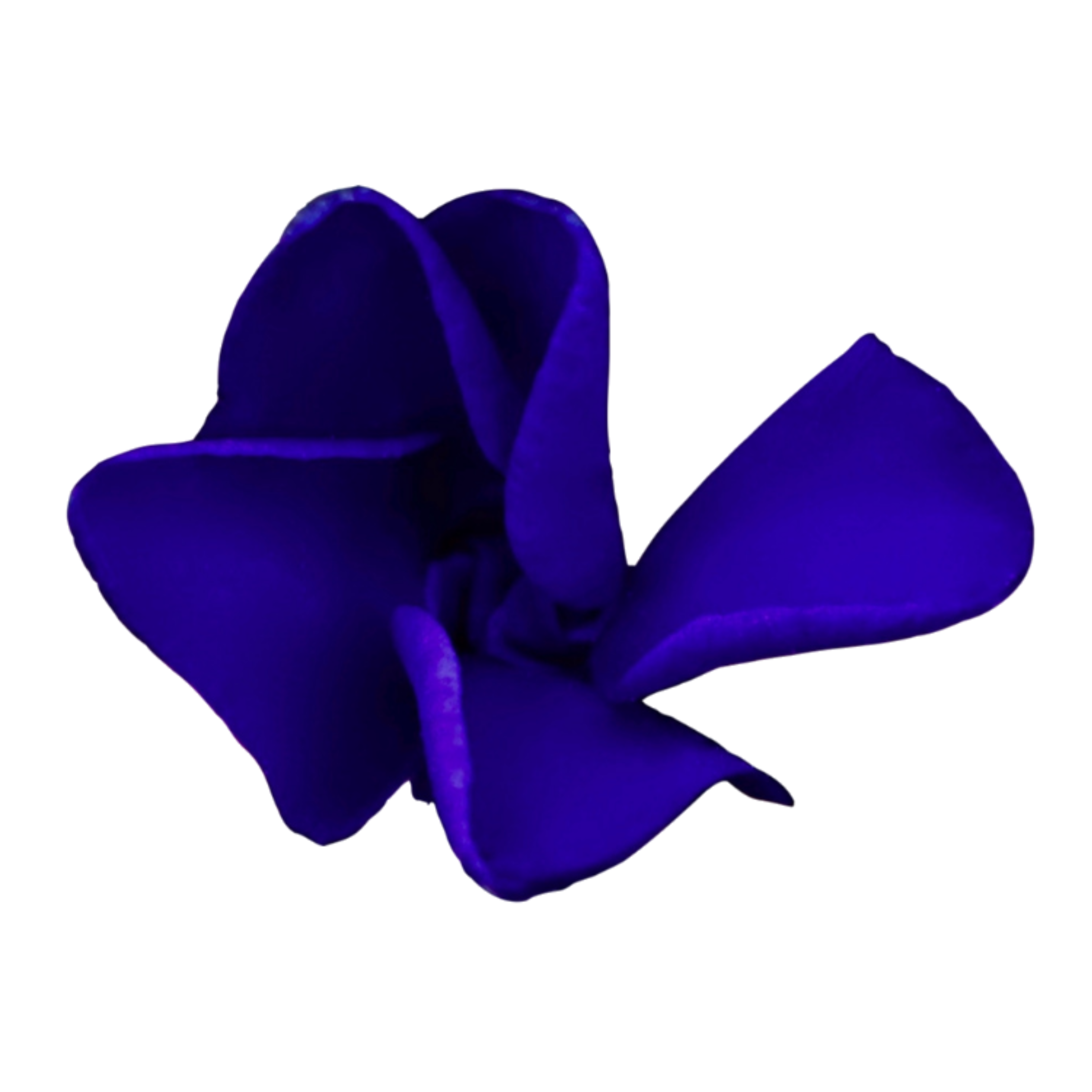 Jahrestraining Philosophie der Freiheit Logo